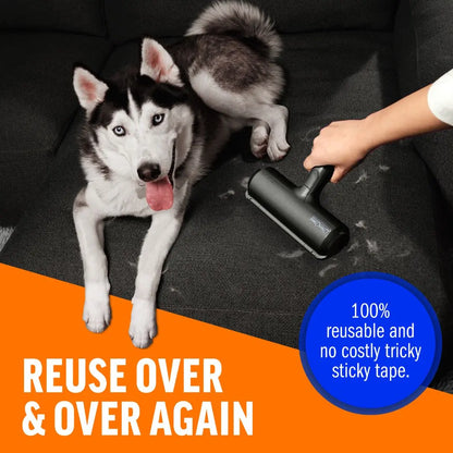 CLEMENNE Pet Hair Remover