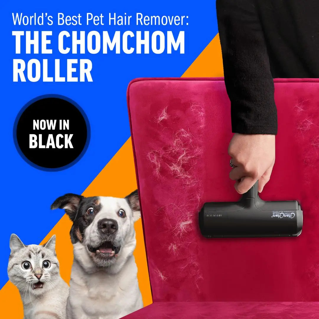 CLEMENNE Pet Hair Remover